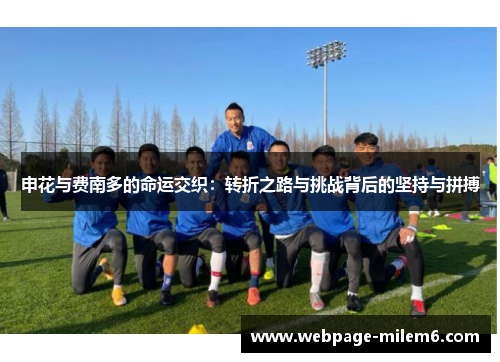 申花与费南多的命运交织：转折之路与挑战背后的坚持与拼搏