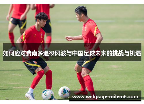 如何应对费南多退役风波与中国足球未来的挑战与机遇